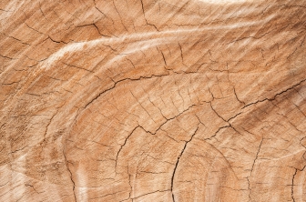 Porównanie właściwości drewna klejonego z drewnem litego